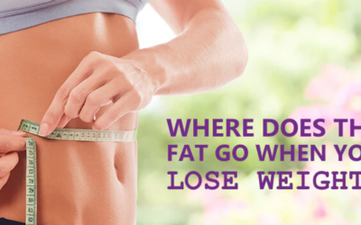 Where Does Fat Go When We Lose It?