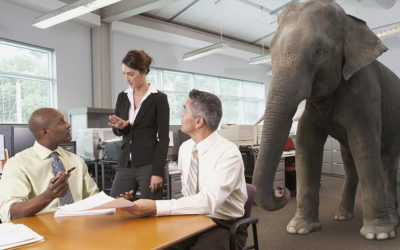 The Elephant in the Room: Omega-6 to Omega-3 Ratios Matter More Than You Think