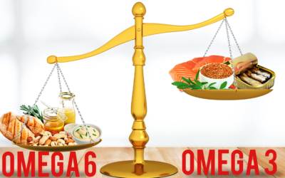 Experts Urge Federal Action on Omega Fatty Acid Imbalance, Citing National Health and Security Risks