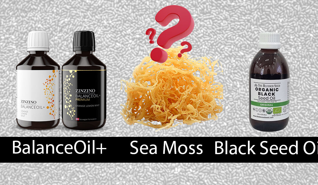 Balance First: Why Sea Moss and Black Seed Oil Work Better with Healthy Cells