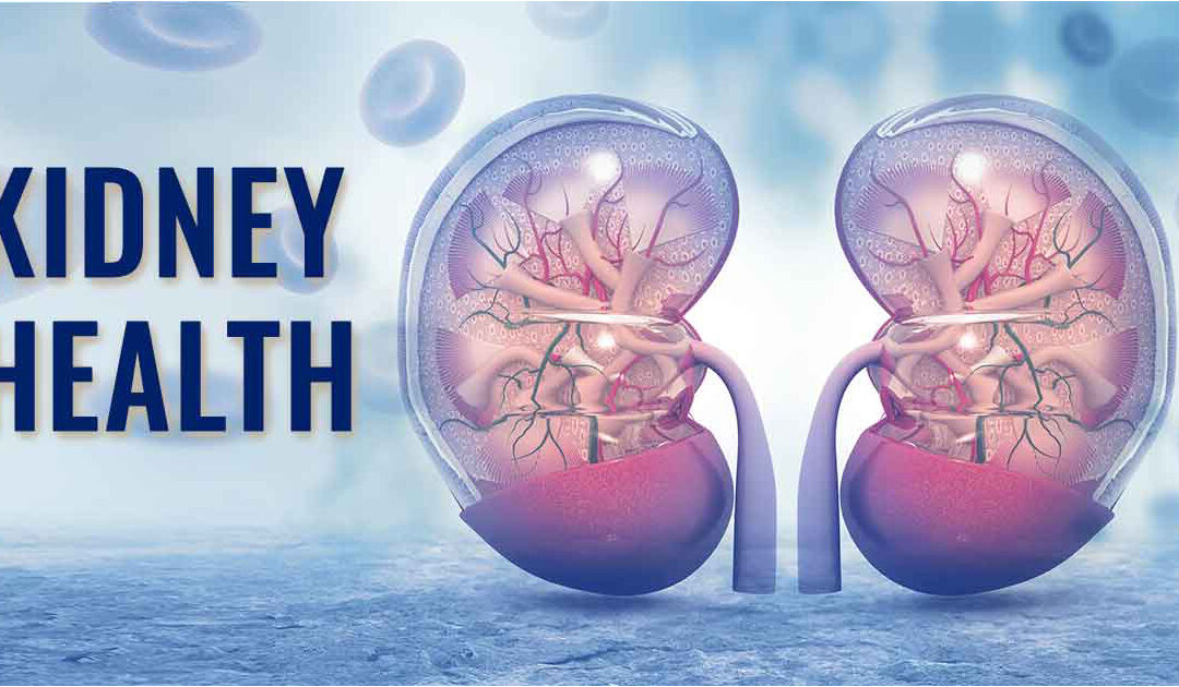 Protect Your Kidneys: What You Can Do to Prevent, Slow, and Even Reverse Kidney Disease