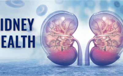 Protect Your Kidneys: What You Can Do to Prevent, Slow, and Even Reverse Kidney Disease