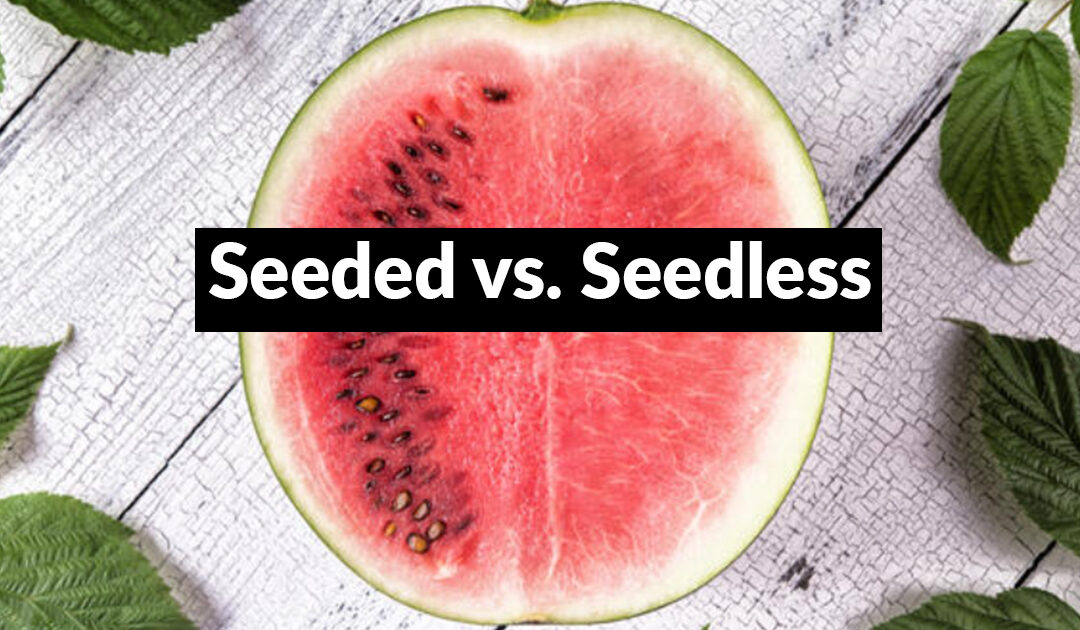 Seedless vs. Seeded Watermelon: The Truth That Might Surprise You
