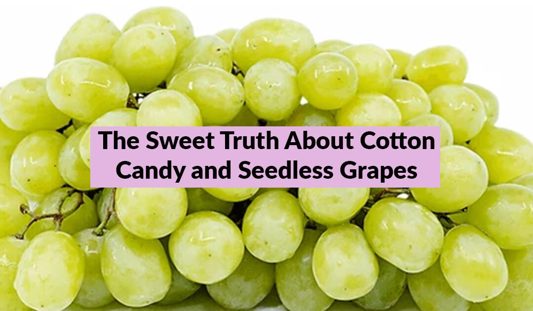 The Sweet Truth About Cotton Candy and Seedless Grapes: They’re Not GMO
