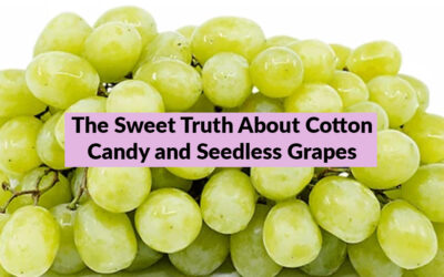 The Sweet Truth About Cotton Candy and Seedless Grapes: They’re Not GMO