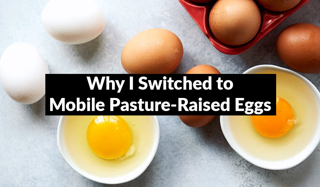 Why I Switched to Mobile Pasture-Raised Eggs—and Why You Might Want To, Too