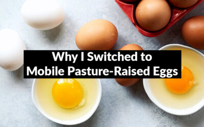 Why I Switched to Mobile Pasture-Raised Eggs—and Why You Might Want To, Too